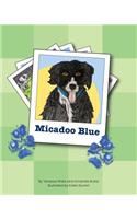 Micadoo Blue