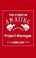 This is What an Amazing Project Manager Look Like: Appreciation Gift Journal for Employee, Coworker or Boss