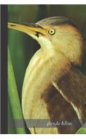 florida bittern: small lined Bittern Notebook / Travel Journal to write in (6'' x 9'') 120 pages