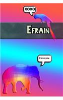 Colorful Jungle Efrain