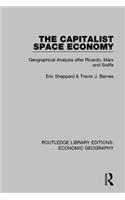 Capitalist Space Economy