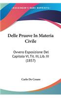 Delle Pruove In Materia Civile