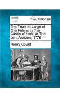 The Trials at Large of the Felons in the Castle of York, at the Lent Assizes, 1776
