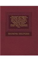 Ökonomisch-Technologische Encyklopädie, Oder Allgemeines System Der Staats-, Stadt-, Haus- Und Landwirthschaft, Und Der Kunst-Geschichte: In Alphabetischer Ordnung. Welcher Die Artikel Schweifriemen Bis Seezypresse Enthält: Nebst 3 Kupfertafeln Und...