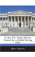 Is the U.S. Trade Deficit Caused by a Global Saving Glut