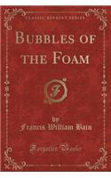 Bubbles of the Foam (Classic Reprint)