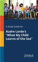 Study Guide for Audre Lorde's "What My Child Learns of the Sea"