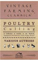 Poultry Culling - A Collection of Articles on the Methods, Equipment and Selection of the Poultry Keeper