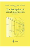 The Perception of Visual Information