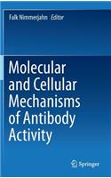 Molecular and Cellular Mechanisms of Antibody Activity