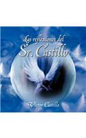 Reflexiones del Sr. Castillo