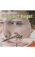 I Collect Bugs!