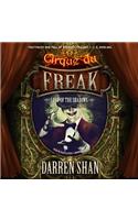 Lord of the Shadows: (Cirque Du Freak: The Saga of Darren Shan)