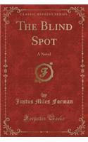 The Blind Spot: A Novel (Classic Reprint)