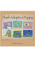 Flash Adopts a Puppy