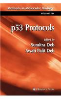 p53 Protocols