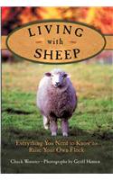 Living with Sheep