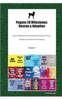 Pugese 20 Milestones: Rescue & Adoption: Pugese Milestones for Memorable Moments, Rescue, Adoption, Socialization & Training Volume 1