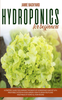 Hydroponics for Beginners
