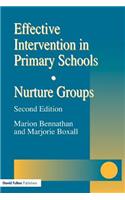 Effective Intervention in Primary Schools