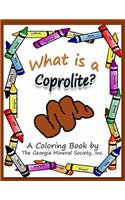 What is a Coprolite?