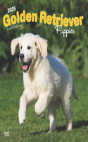 2025 Plastic-Free Golden Retriever Puppies Calendar