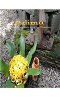 Adimu: Nuevas recetas para los Orishas