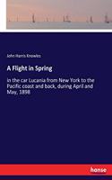 Flight in Spring