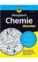 UEbungsbuch Chemie fur Dummies 3e