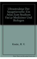 Ultrastruktur der Saugetierzelle