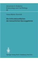 Die Artikulationsflächen Der Menschlichen Sprunggelenke
