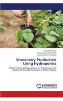 Strawberry Production Using Hydroponics