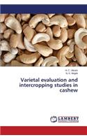 Varietal evaluation and intercropping studies in cashew