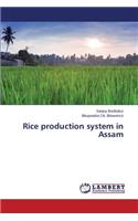 Rice production system in Assam