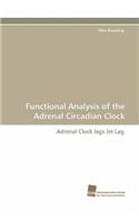 Functional Analysis of the Adrenal Circadian Clock