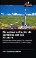 Rimozione dell'anidride carbonica dal gas naturale