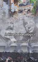 A crise socioecológica no labirinto do capital