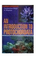An Introduction to Protochordata