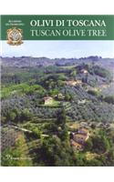 Olivi Di Toscana / Tuscan Olive Tree