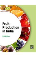 Fruit Production in India