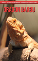 Dragon Barbu