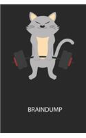 Braindump