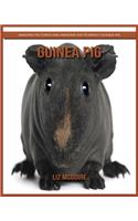 Guinea Pig