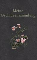 Meine Orchideensammlung