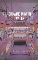 Growing Mint In Water: The Ultimate Beginners Guide to Building a Hydroponic System