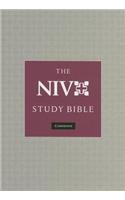 Study Bible-NIV