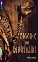 Lighthouse Lime: Digging for Dinosaurs (6 Pack)