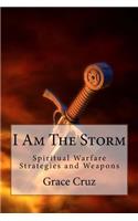 I Am The Storm