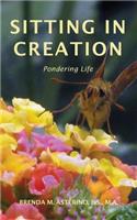 Sitting in Creation