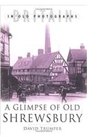 Glimpse of Old Shrewsbury